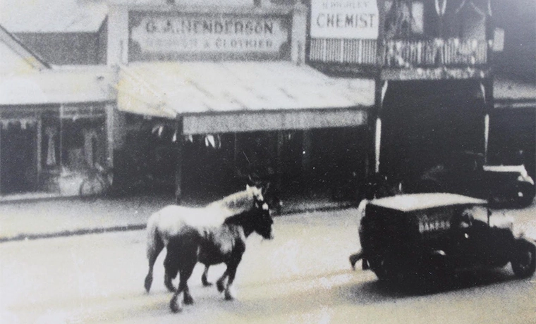 Photo of Bakery car